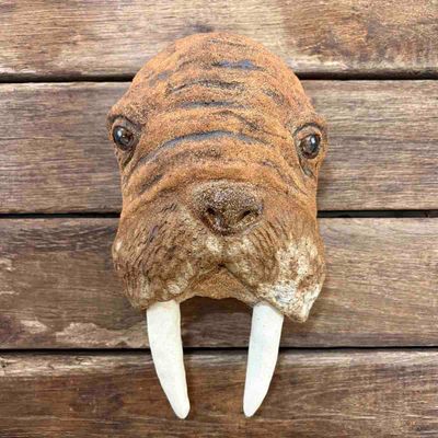 Hvalbert hvalross, skulptur vegg 24x14 cm